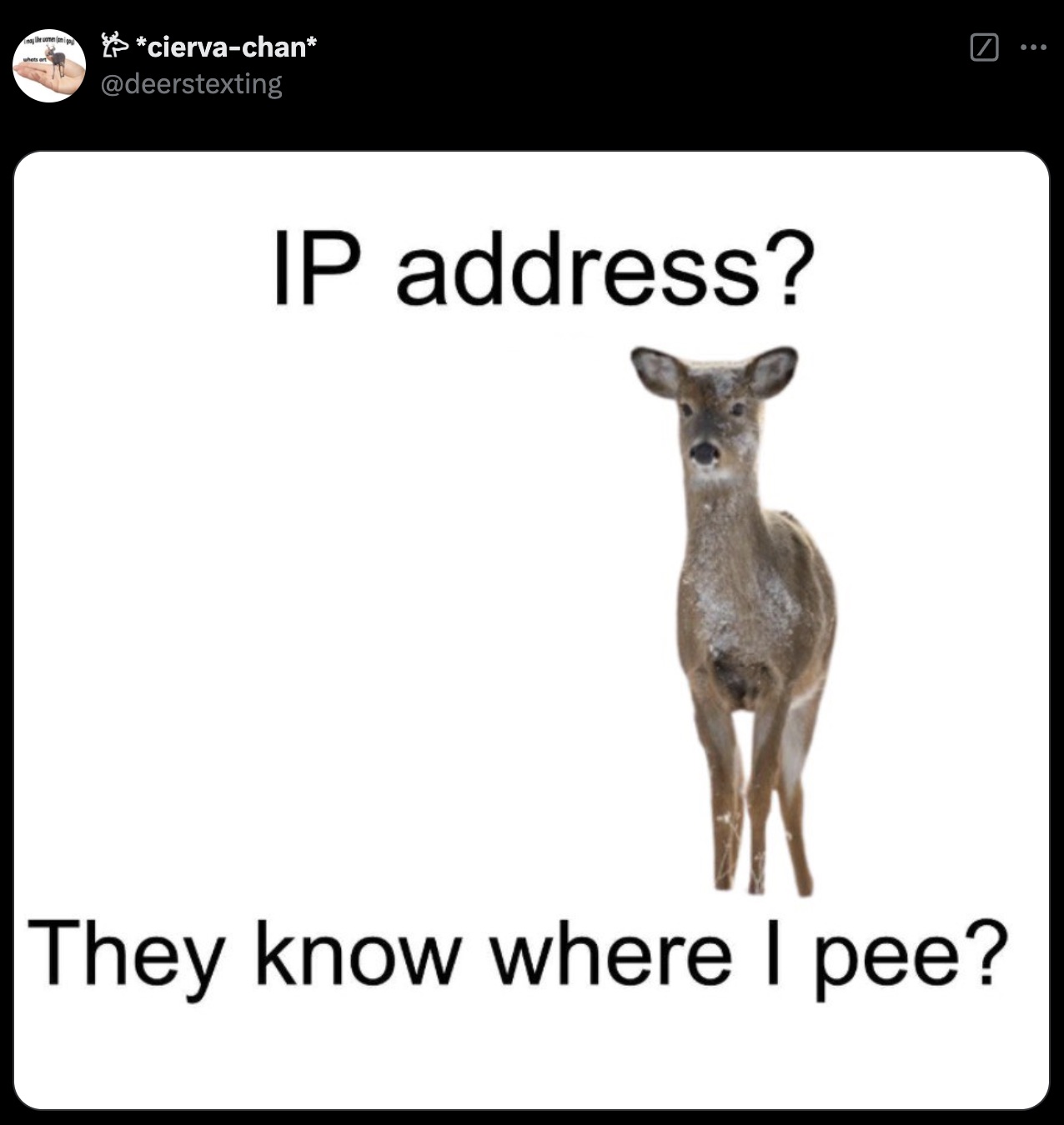 roe deer - ciervachan Ip address? They know where I pee?